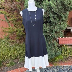 Elegant Navy and White Sleeveless Dress